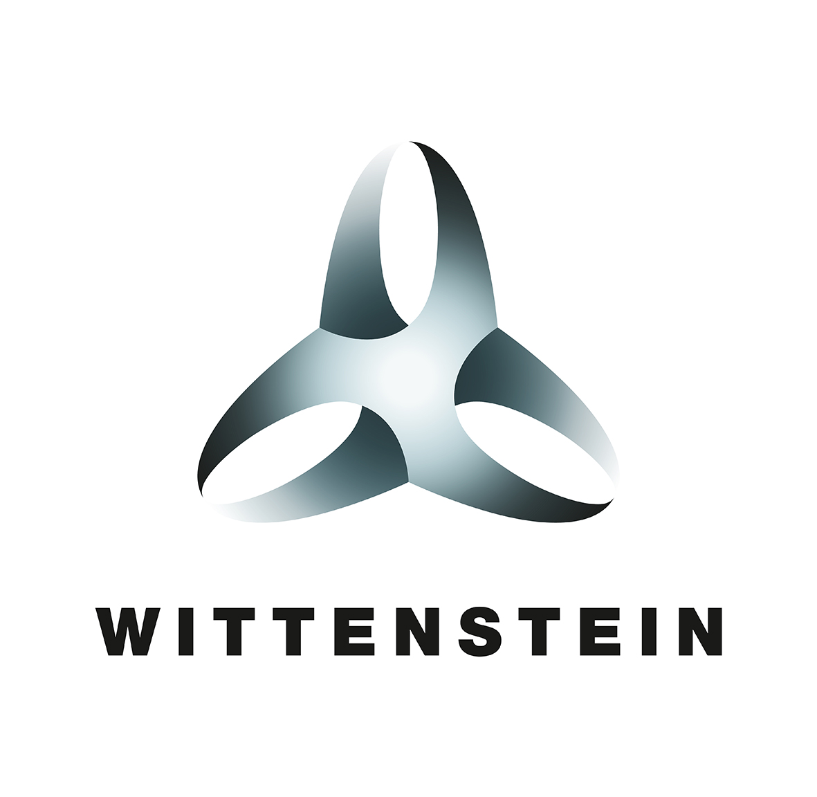 WSE Logo
